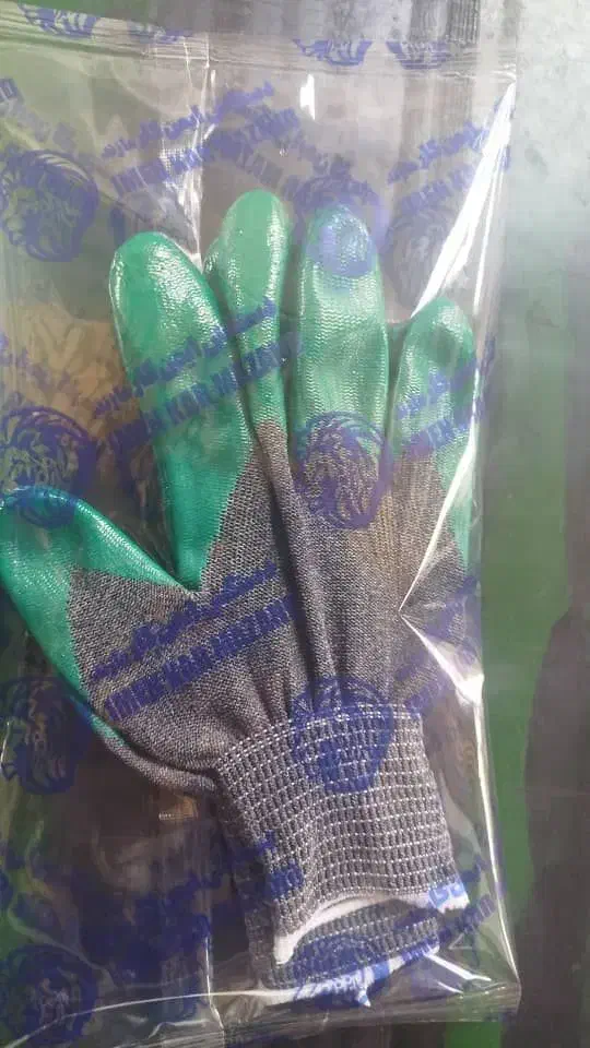 پخش کلی دستکش ساری|ابزارآلات|مشهد, انقلاب|دیوار