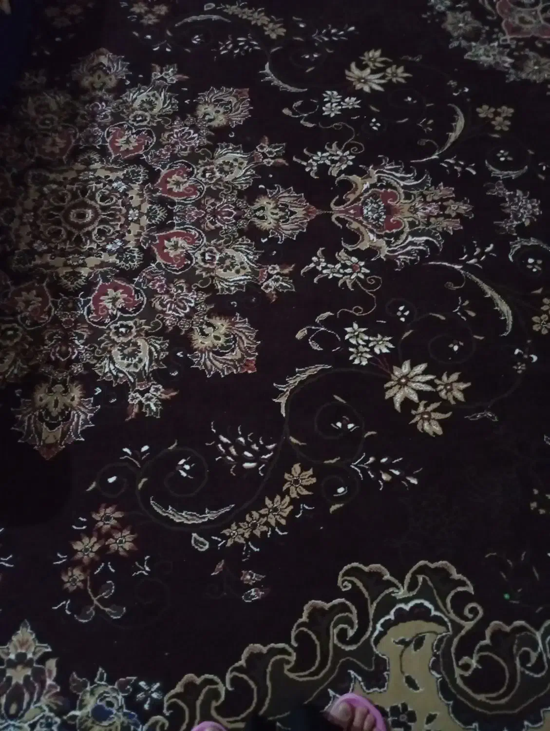 دوتا فرش درحدنو|فرش|جم, |دیوار