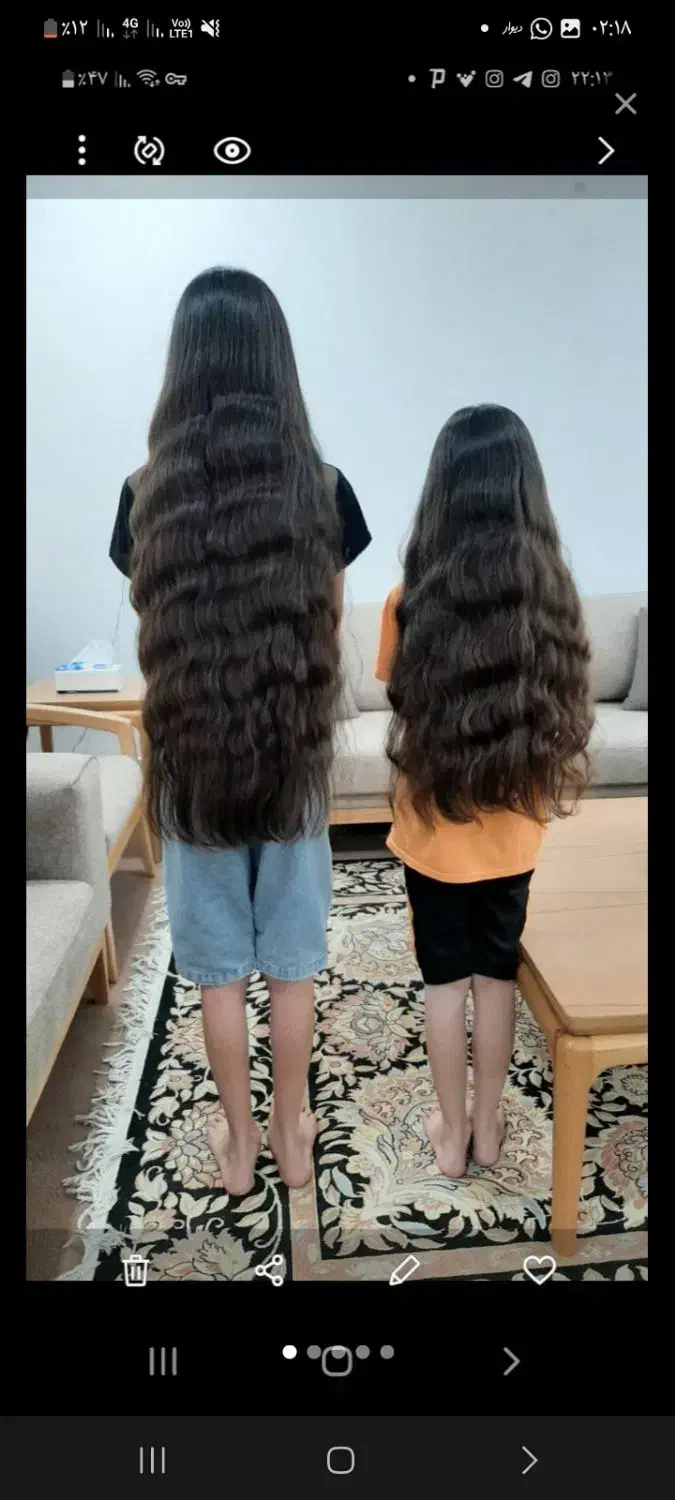 مرکز اصلی مو|آرایشی، بهداشتی، درمانی|فومن, |دیوار