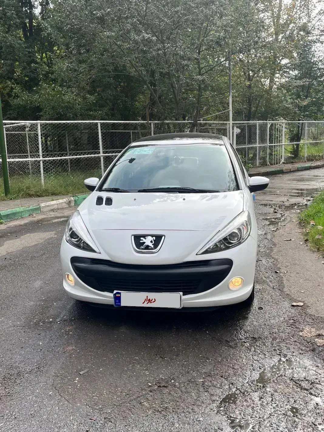 ۲۰۷پانا۱۴۰۰|خودرو سواری و وانت|رشت, یخسازی|دیوار