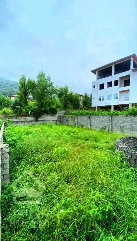 300متر زمین/آماده ساخت/سند ششدانگ|فروش زمین و ملک کلنگی|رامسر, |دیوار