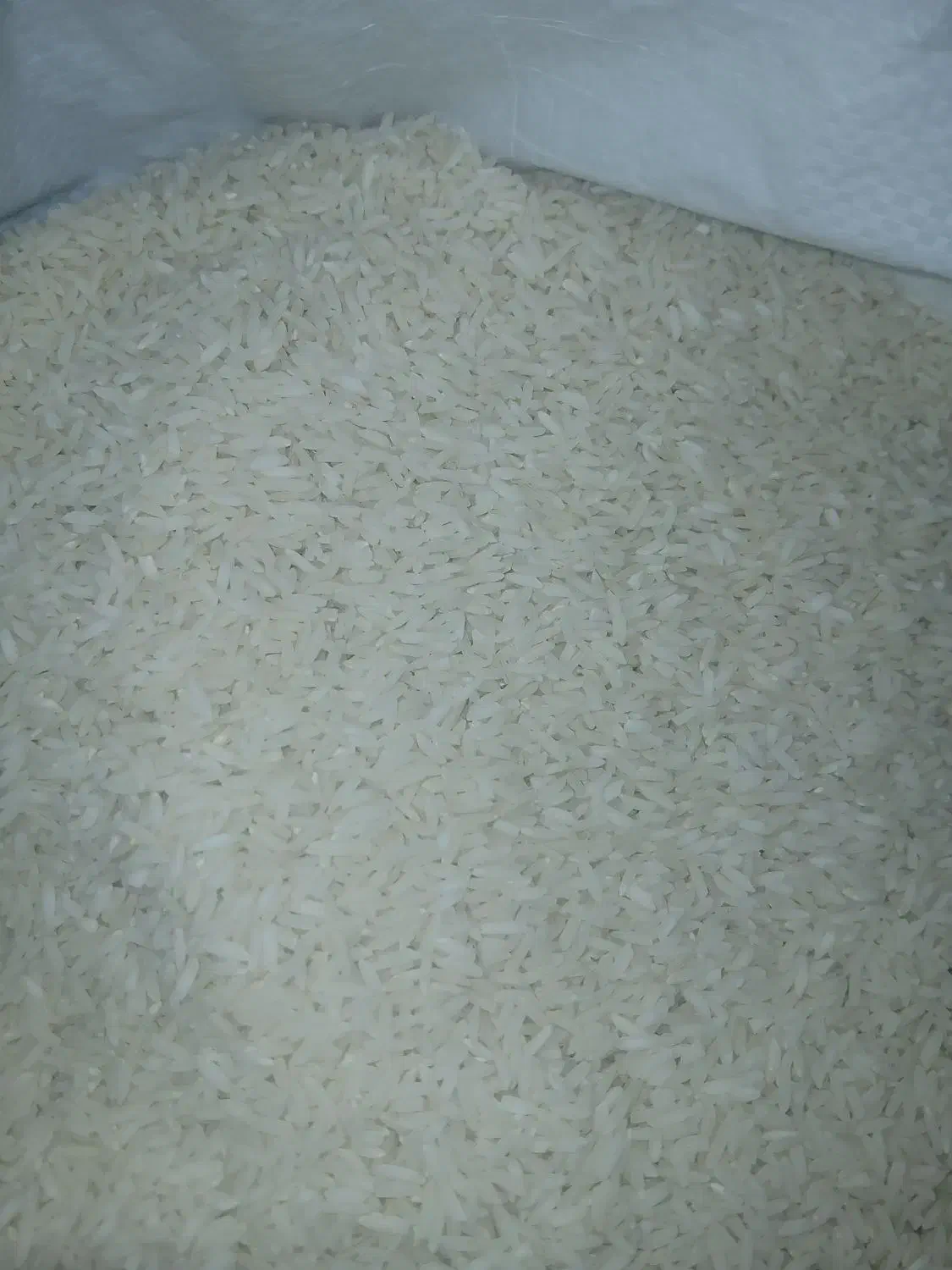 برنج طارم هاشمی|خوردنی و آشامیدنی|کوچصفهان, |دیوار