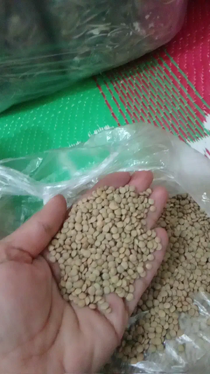 کشمش آفتابی با کیفیت|خوردنی و آشامیدنی|نیشابور, شهرک فیروزه|دیوار