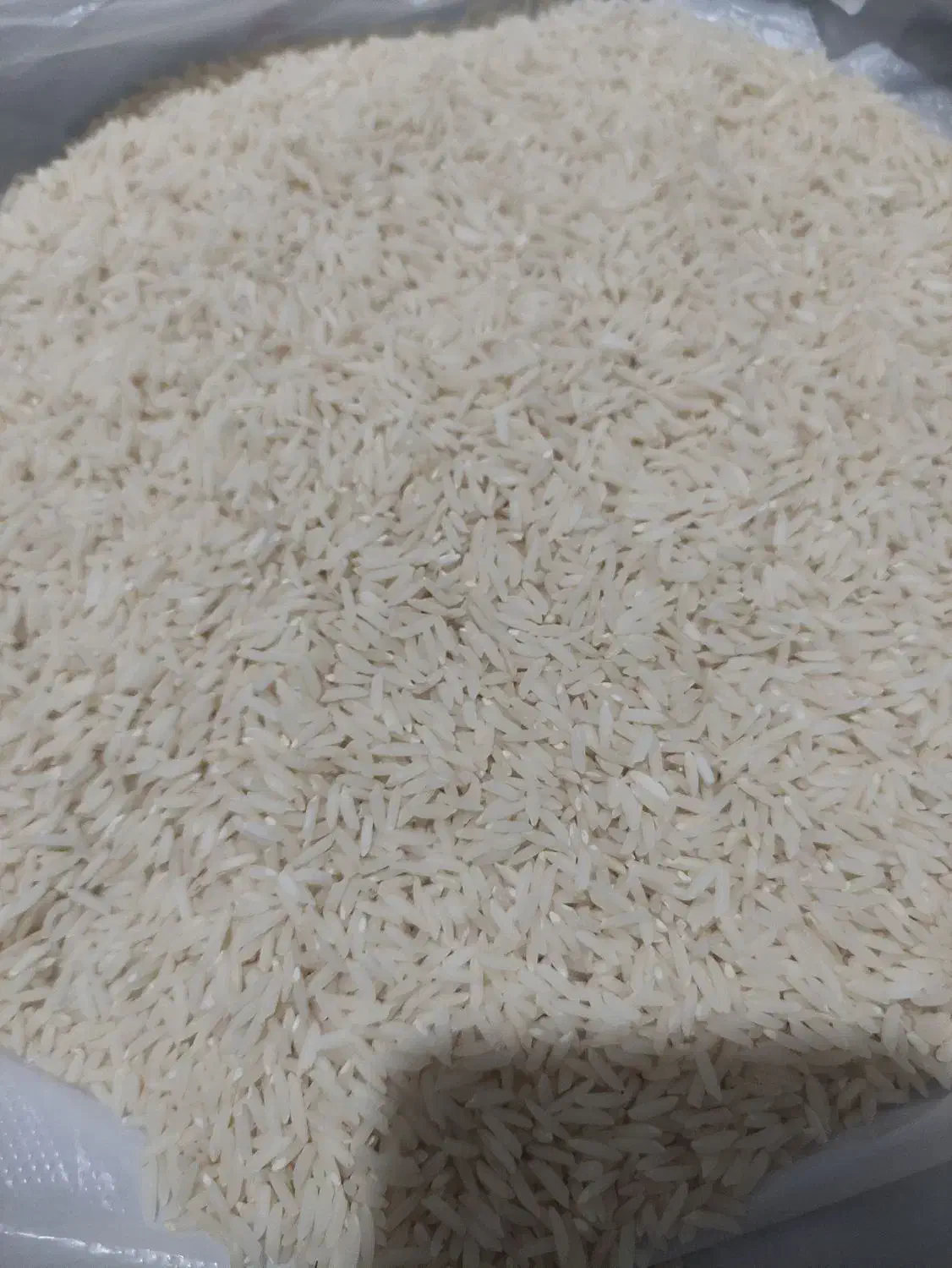 برنج هاشمی سورتینگ زده|خوردنی و آشامیدنی|رشت, آب آسیاب|دیوار