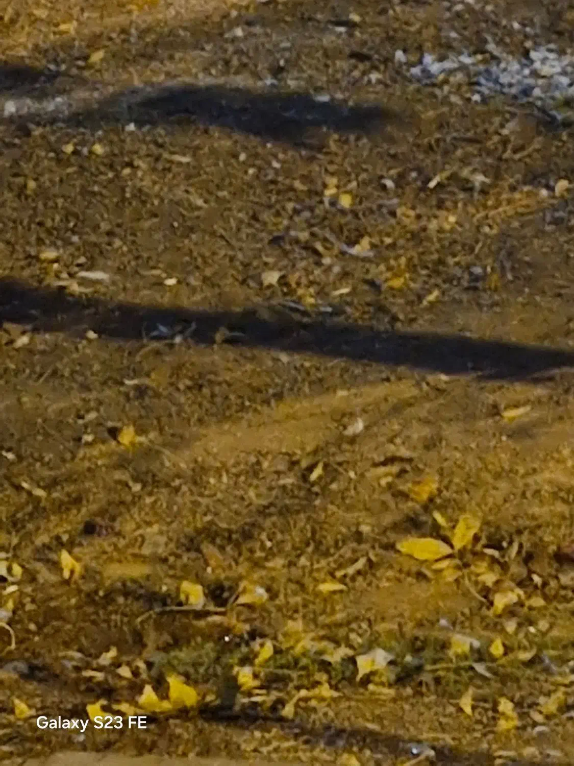 فروش زمین در شهرک بهار قهجاورستان|فروش زمین و ملک کلنگی|اصفهان, قهجاورستان|دیوار