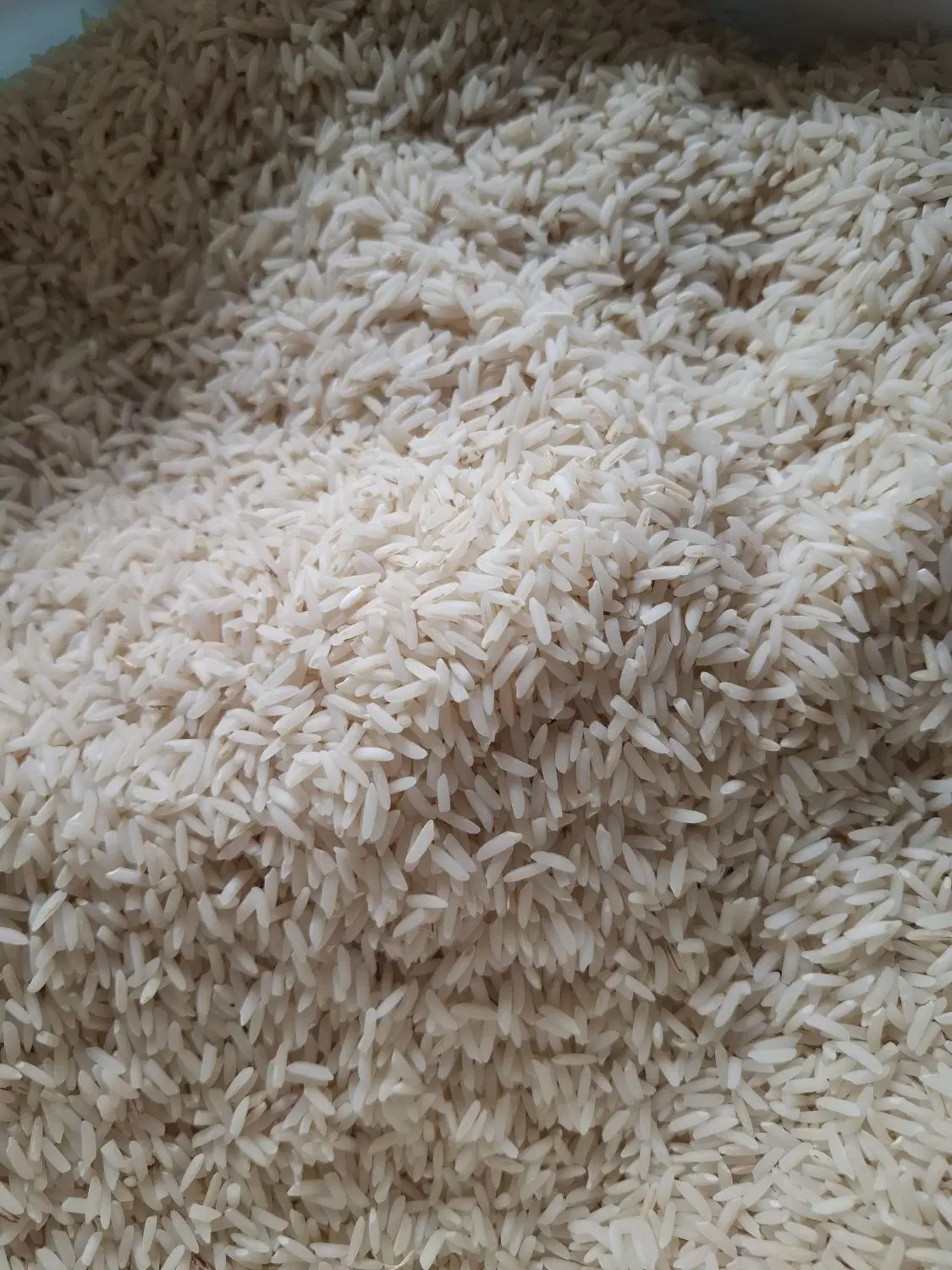 برنج هاشمی درجه یک|خوردنی و آشامیدنی|رشت, سیا اسطلخ|دیوار
