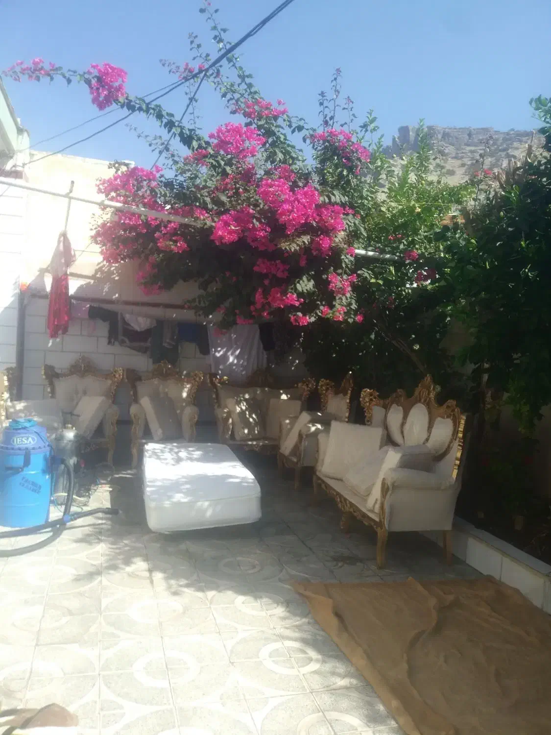 مبل شویی ماهان|خدمات نظافت|دورود, |دیوار