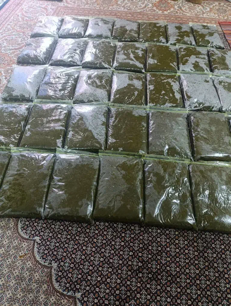 سبزی رامهرمز|خوردنی و آشامیدنی|رامهرمز, |دیوار