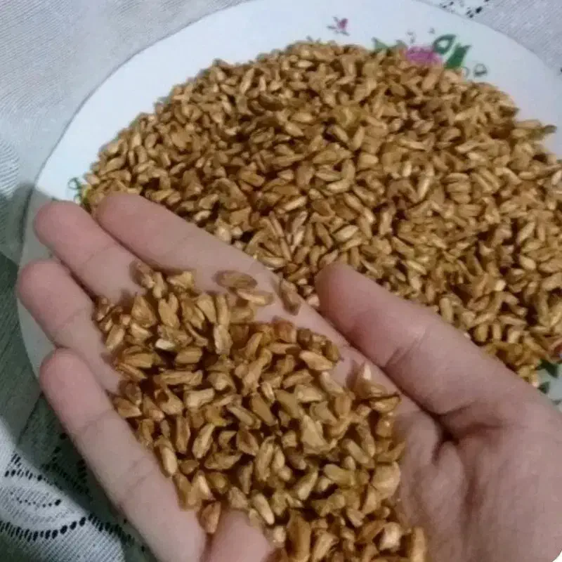 اناردان خ|خوردنی و آشامیدنی|خاش, |دیوار