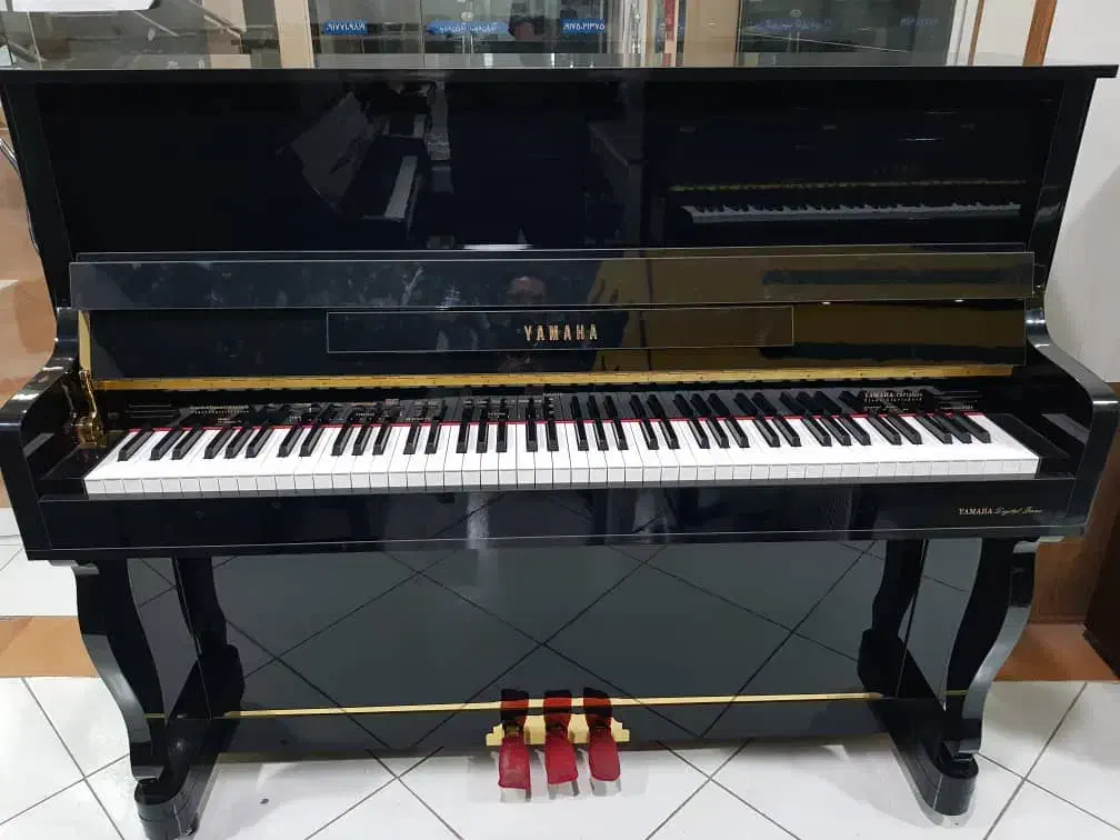 پیانو آکوئستیک|پیانو، کیبورد، آکاردئون|شیراز, پارک آزادی|دیوار