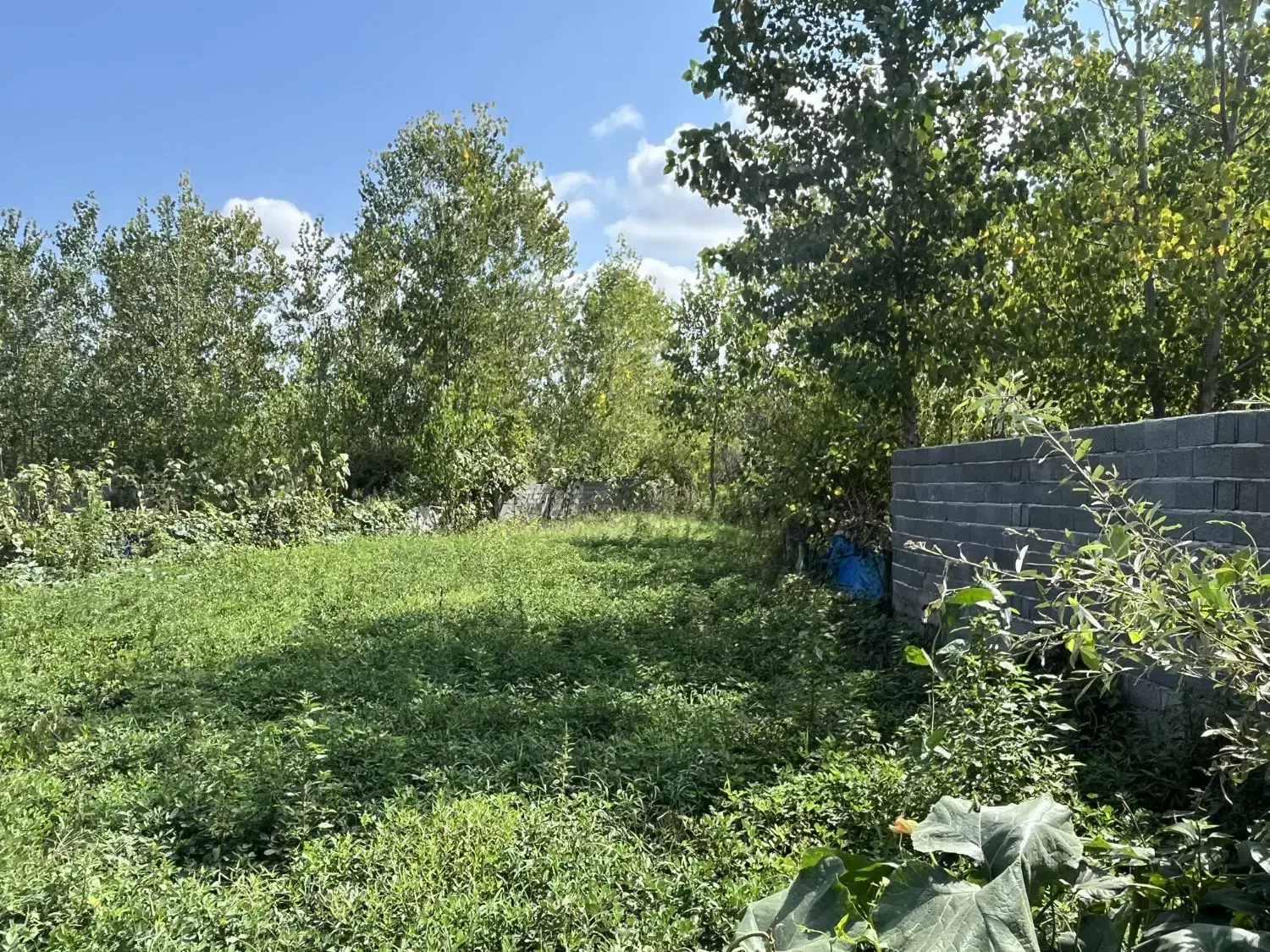 زمین۲۰۰مترمسکونی/مدارک سندتکبرگ/اشمان کماچال|فروش زمین و ملک کلنگی|آستانه اشرفیه, |دیوار