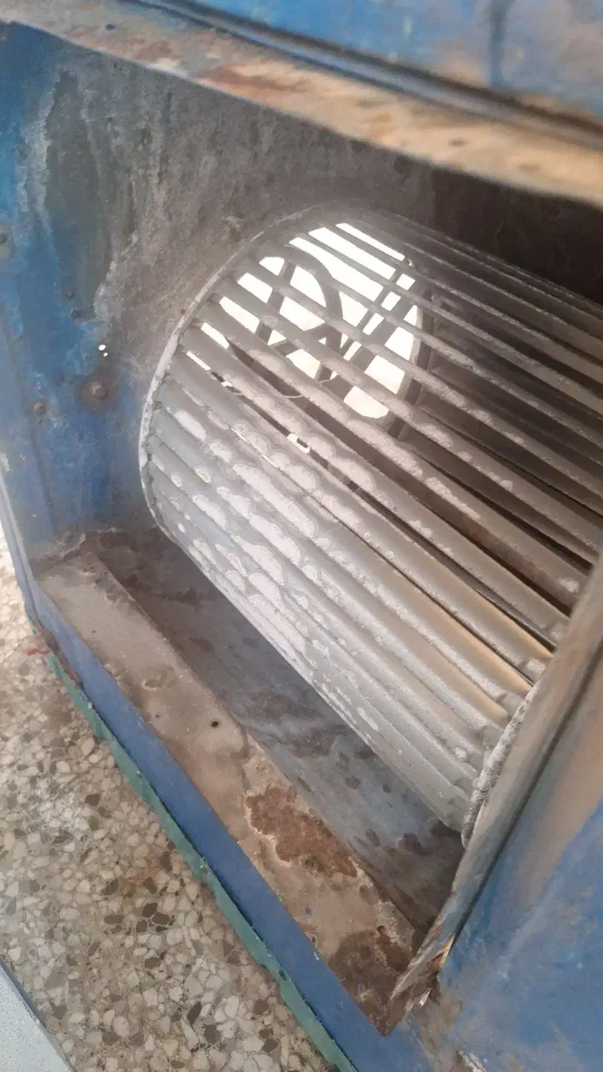 کولرآبی بزرگ|کولر آبی|شیراز, میانرود|دیوار