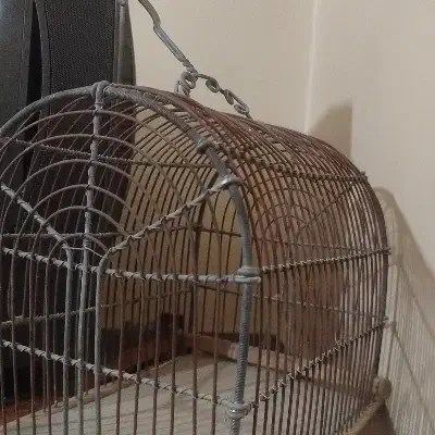 قفس|لوازم جانبی حیوانات|زالیان, |دیوار