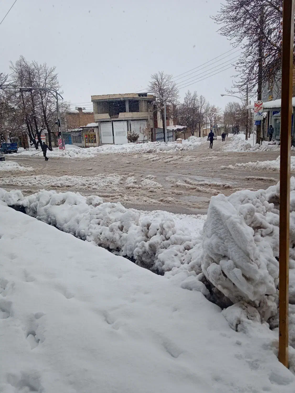 زمین|فروش زمین و ملک کلنگی|مبارکه, |دیوار