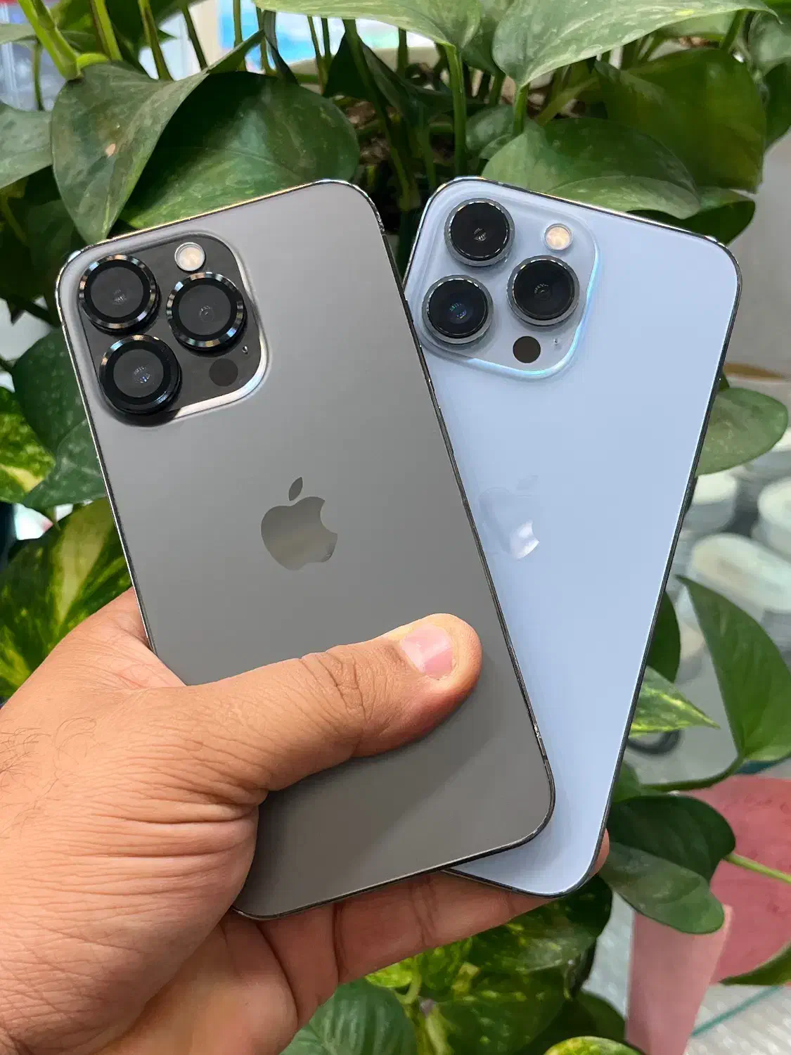 Iphone 13pro LLa|موبایل|شیراز, زند|دیوار