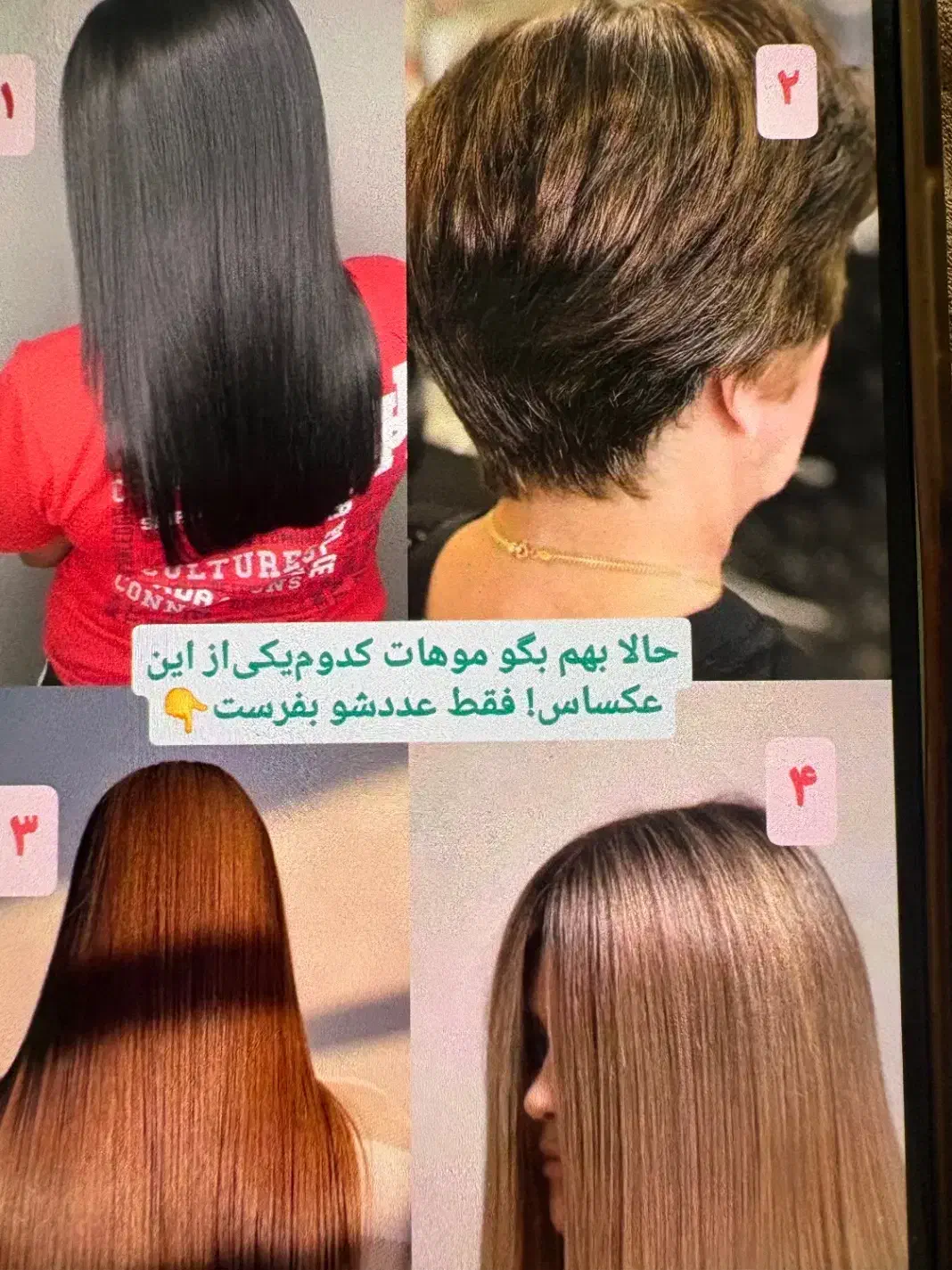 درمان قطعی تخم شپش|آرایشی، بهداشتی، درمانی|هشتگرد, شهرک اداری|دیوار