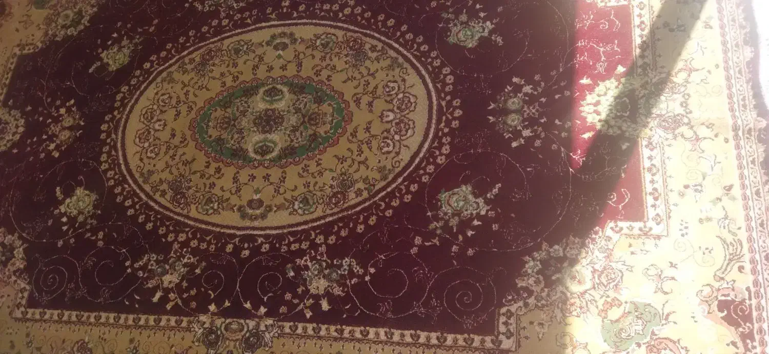 فروش قالی|فرش|شهرضا, |دیوار