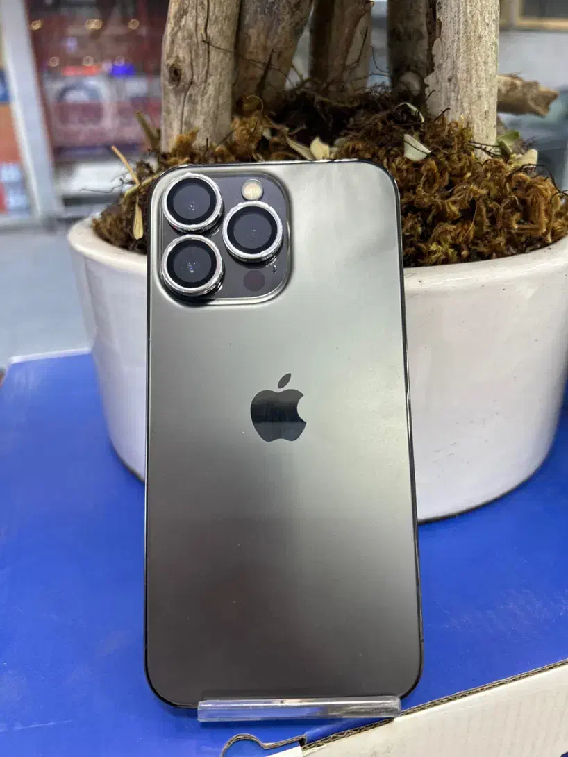 iphone 13pro|موبایل|قم, چهل درخت‎|دیوار