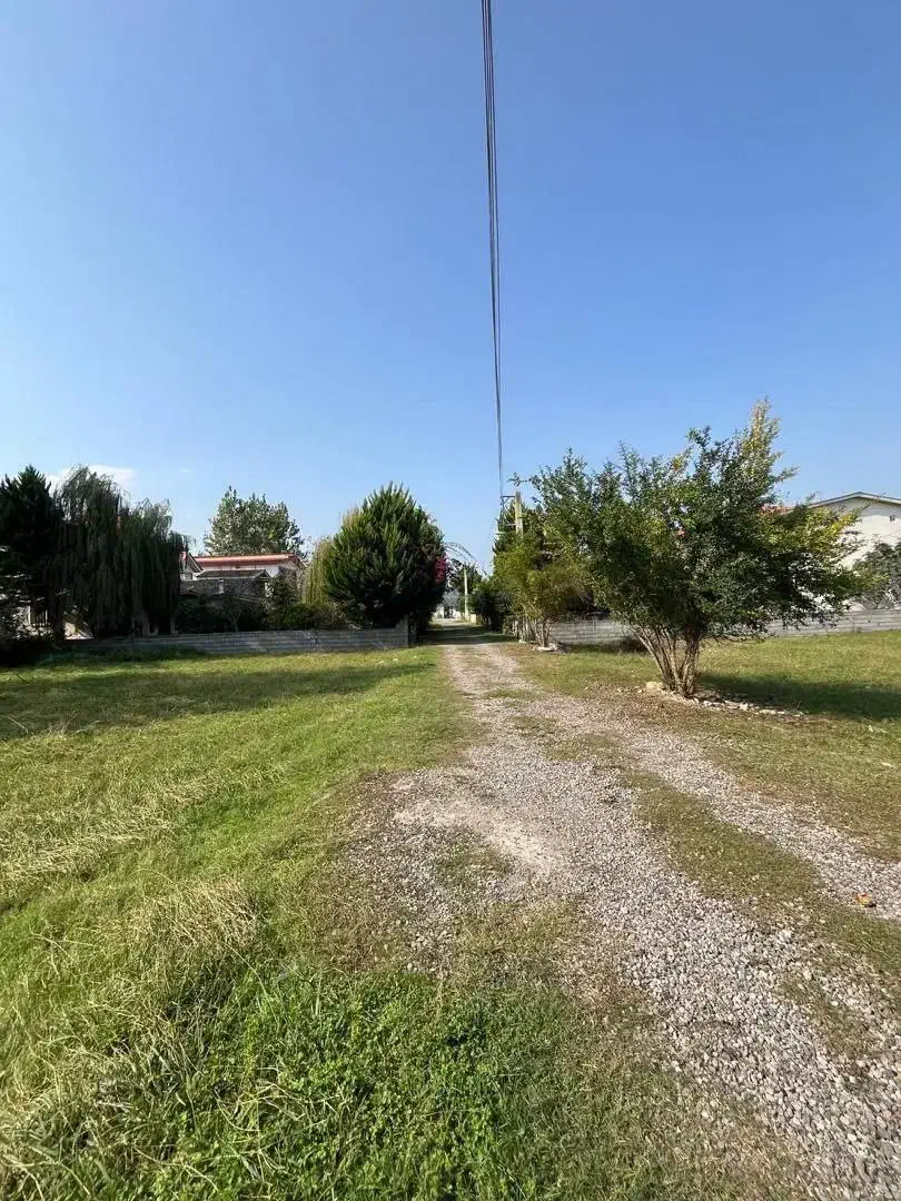 ۲۵۰ متر زمین شهرکی/ تاپ لوکیشن/ کوهپایه جنگلی|فروش زمین و ملک کلنگی|چمستان, |دیوار