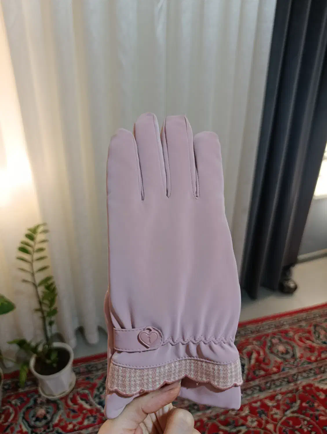 شال، کلاه ،دستکش|لباس|تاکستان, |دیوار