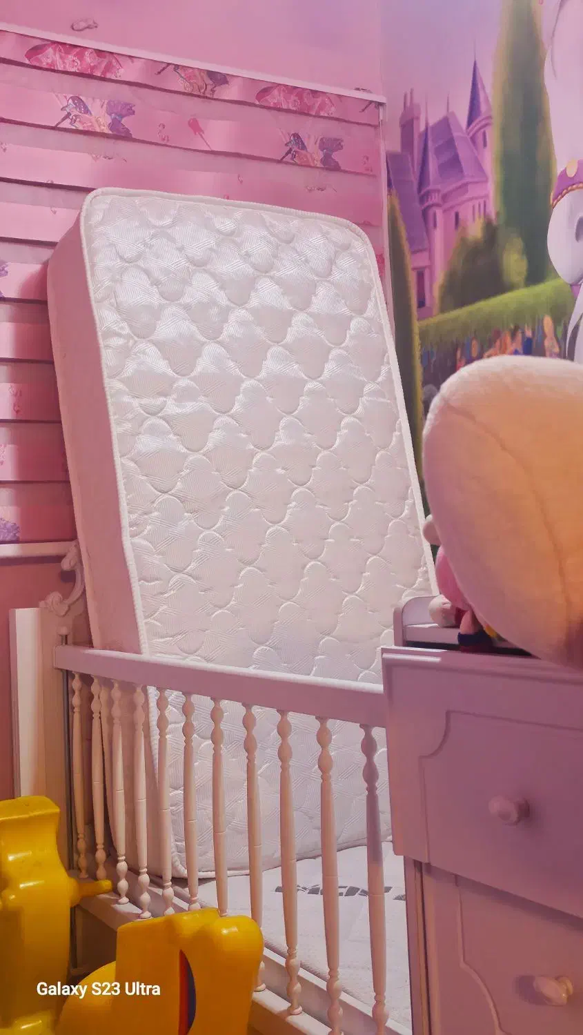 تشک کودک|اسباب و اثاث بچه|رشت, کاکتوس|دیوار