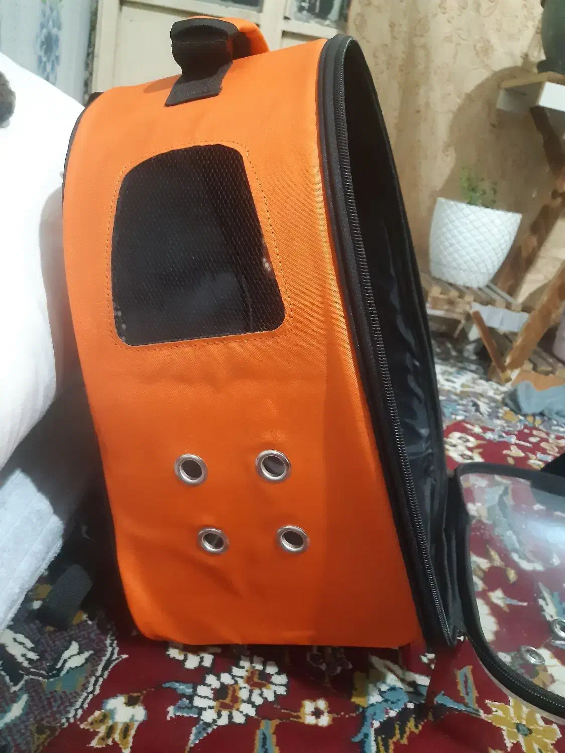 کوله پشتی فضایی برای حمل سگ و گربه|لوازم جانبی حیوانات|یاسوج, |دیوار