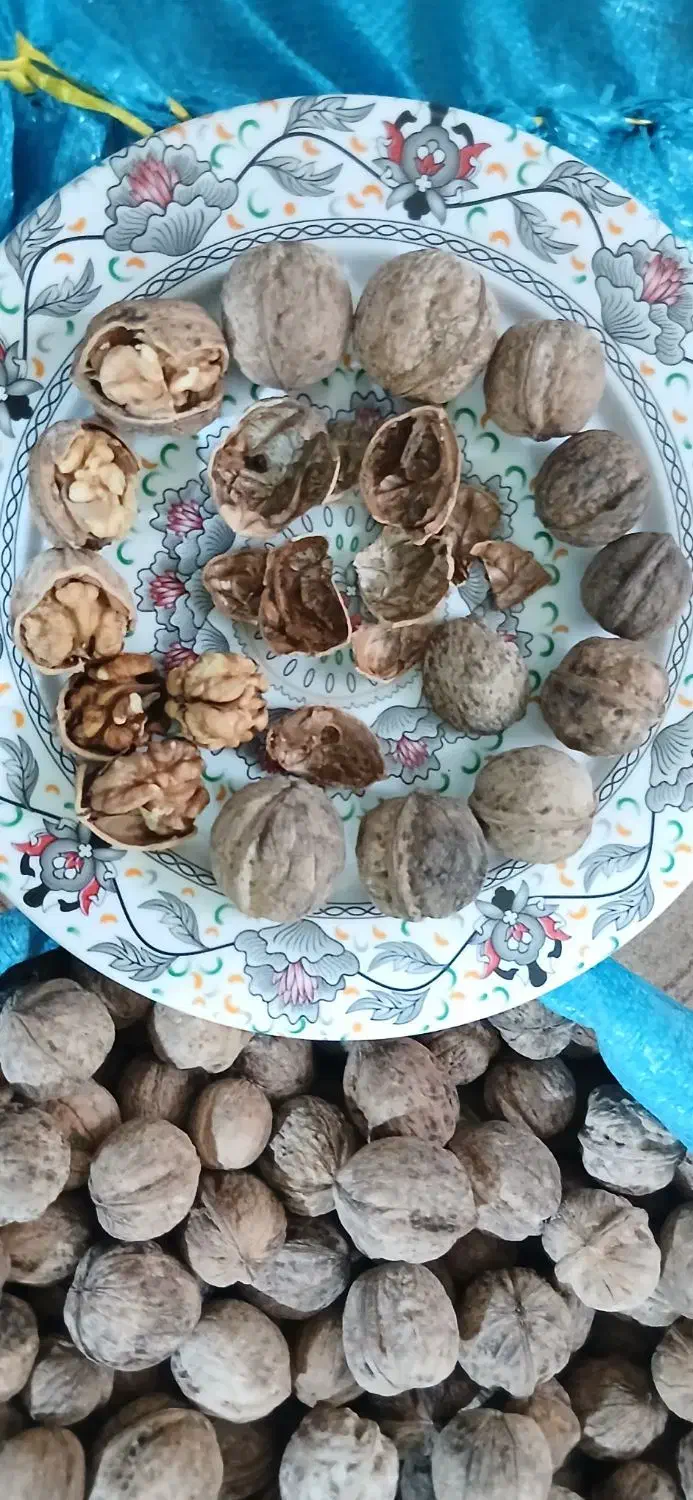 گردو کاغذی محلی|خوردنی و آشامیدنی|تهران, جوادیه|دیوار