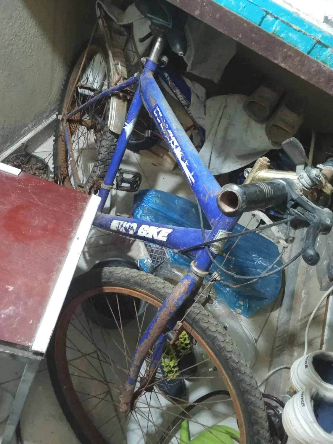 دوچرخه|دوچرخه، اسکیت، اسکوتر|پرند, فاز ۶|دیوار