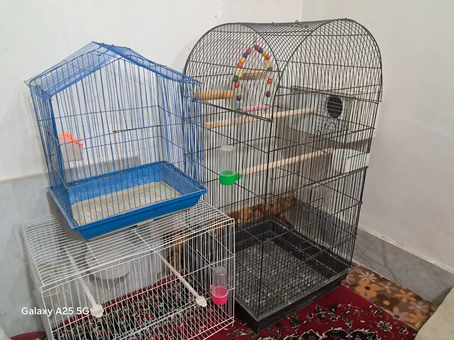 سه عدد قفس با قیمت مناسب|لوازم جانبی حیوانات|سبزوار, پاسداران|دیوار