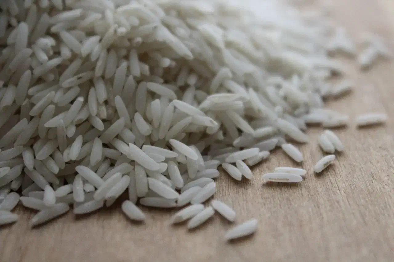 برنج طارم شمال (مازندران) رسید.|خوردنی و آشامیدنی|بندرعباس, |دیوار
