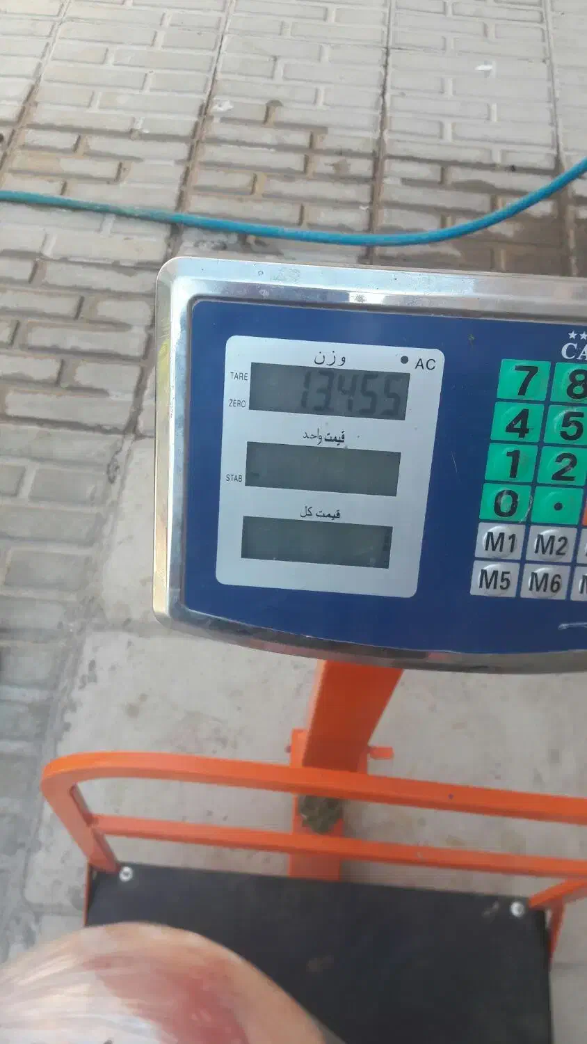 بیده|لوازم جانبی حیوانات|جیرفت, |دیوار