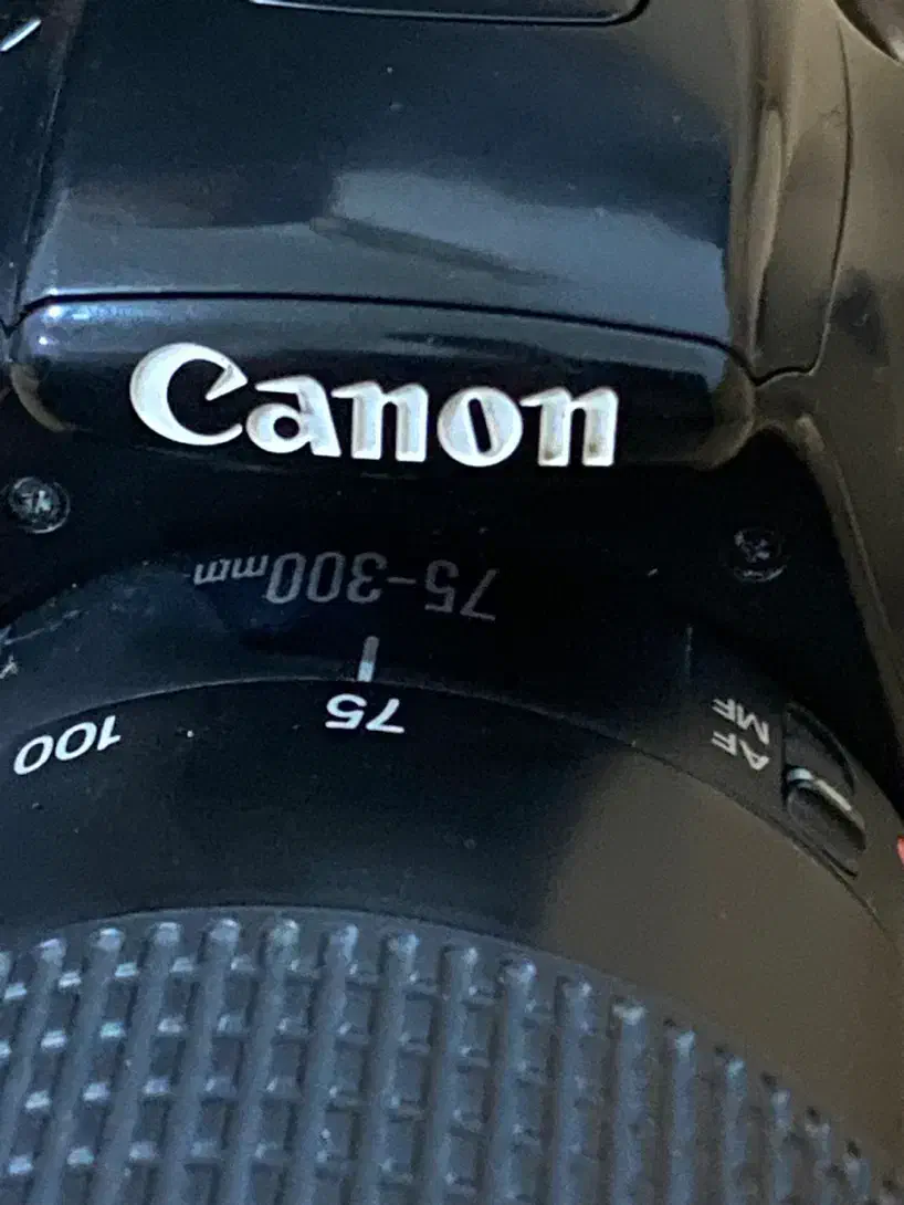 دوربین عکاسی حرفه ای|دوربین عکاسی و فیلم‌برداری|تبریز, |دیوار