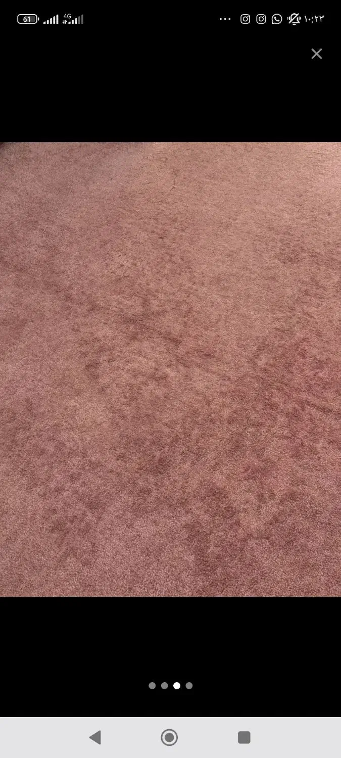 پالاز موکت|موکت|بندر ماهشهر, |دیوار