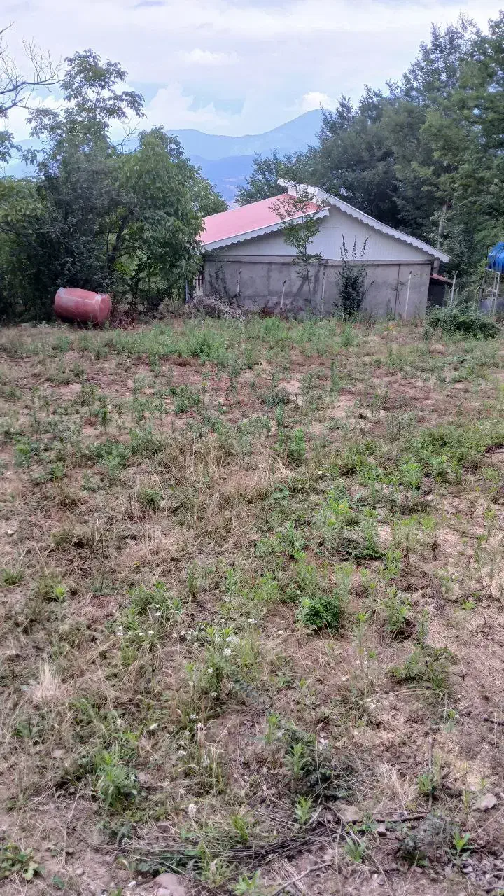 فروش ۲۸۵متر زمین،مجوز ساخت،سندتک برگ|فروش زمین و ملک کلنگی|توتکابن, |دیوار