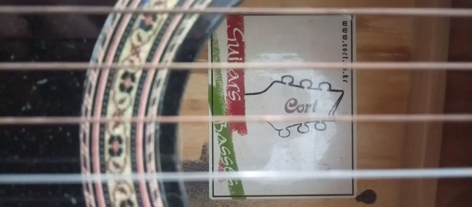 گیتار کورت|گیتار، بیس، امپلیفایر|پلدختر, |دیوار