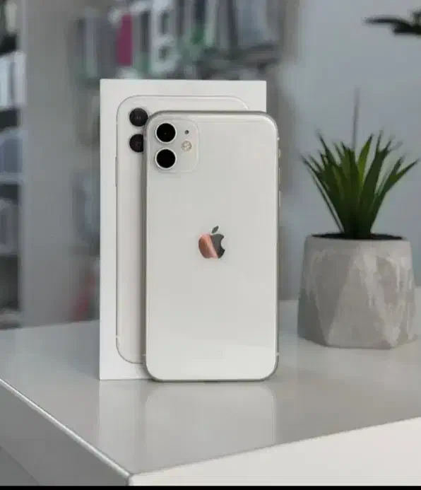iPhone 11 بدون خطو خش|موبایل|کرج, گوهردشت|دیوار