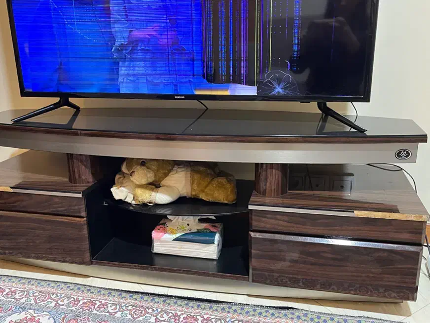 تلوزیون سامسونگ|تلویزیون و پروژکتور|اندیشه, اندیشه فاز ۱|دیوار