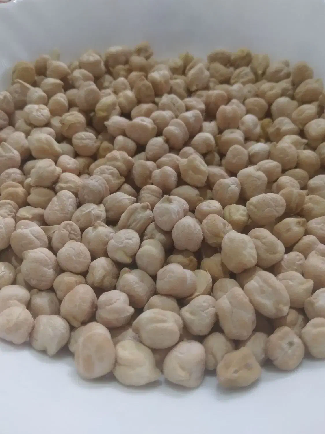 نخود|خوردنی و آشامیدنی|قیدار, |دیوار