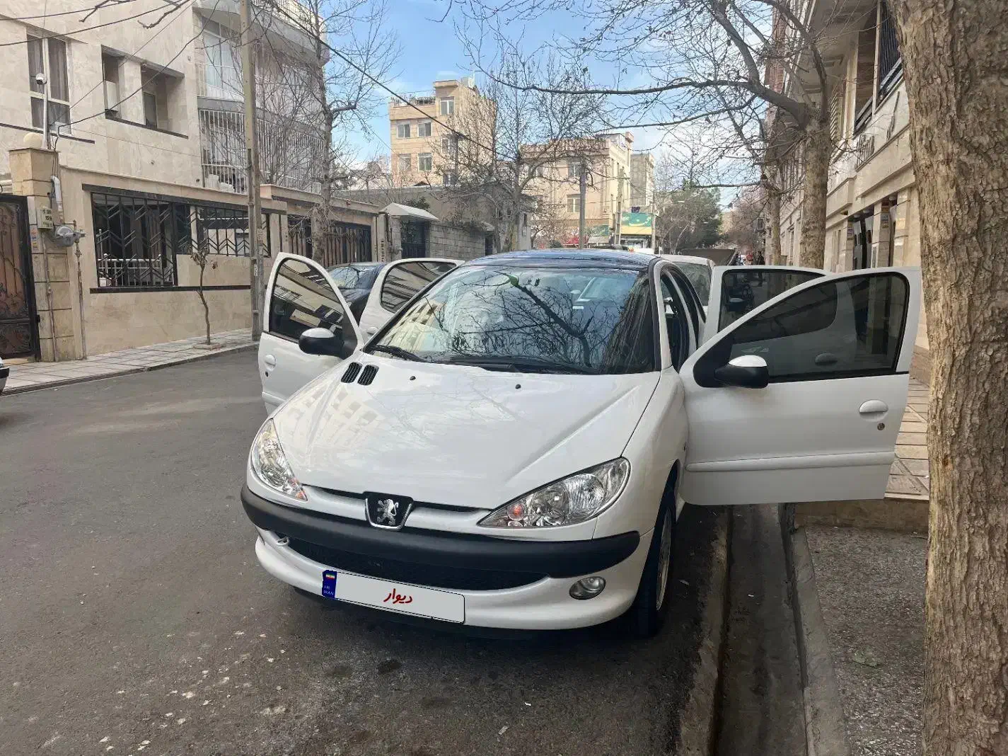 206 پانا مدل 1401|خودرو سواری و وانت|تهران, تهرانپارس شرقی|دیوار