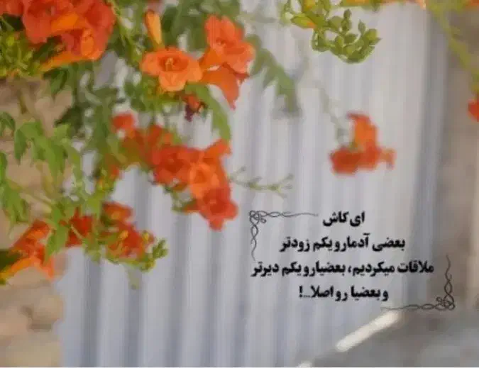 راهنمایی کنید از فاریاب|فعالیت داوطلبانه تحقیقاتی|بندرعباس, |دیوار