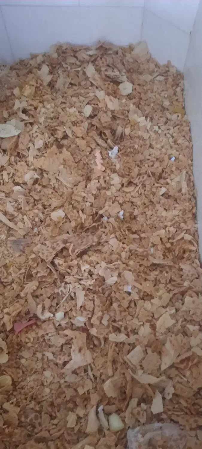 نان خشک|حیوانات مزرعه|فردوس (خراسان), |دیوار