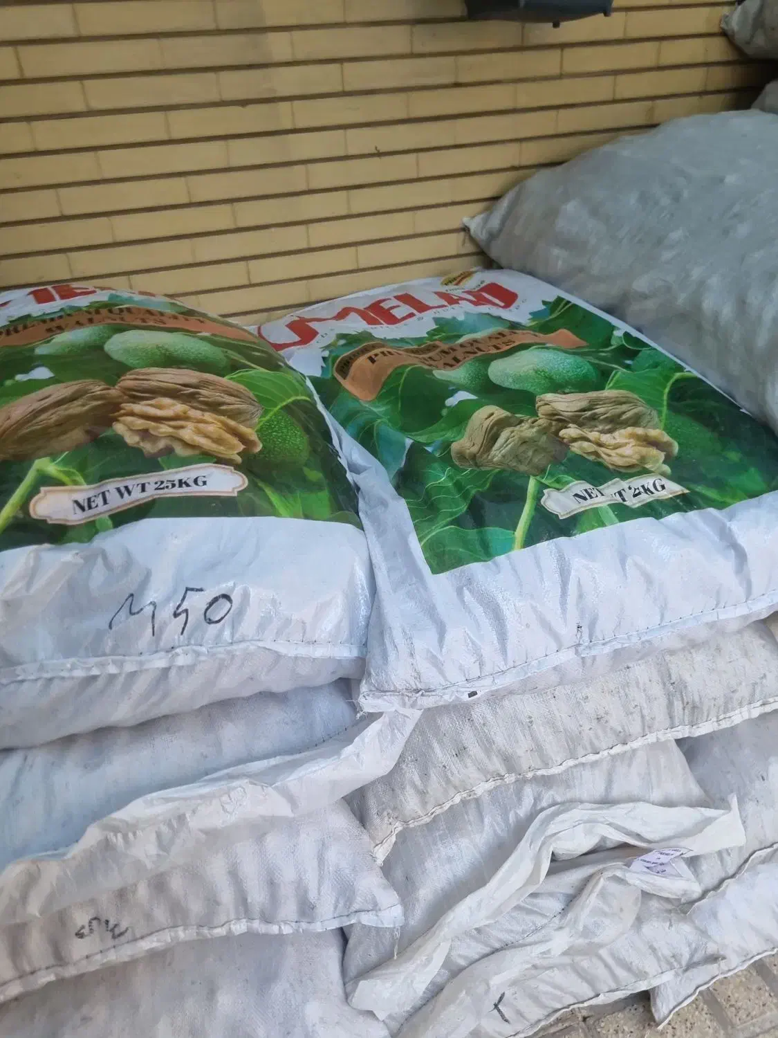 گردو درجه یک پوست کاغذی|خوردنی و آشامیدنی|شیراز, درکی|دیوار