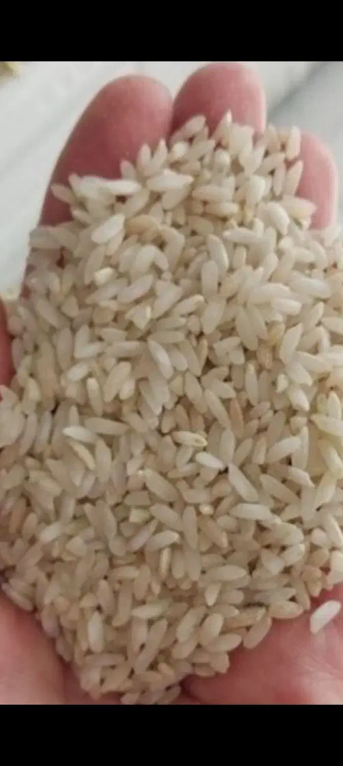 برنج محلی|خوردنی و آشامیدنی|یاسوج, |دیوار