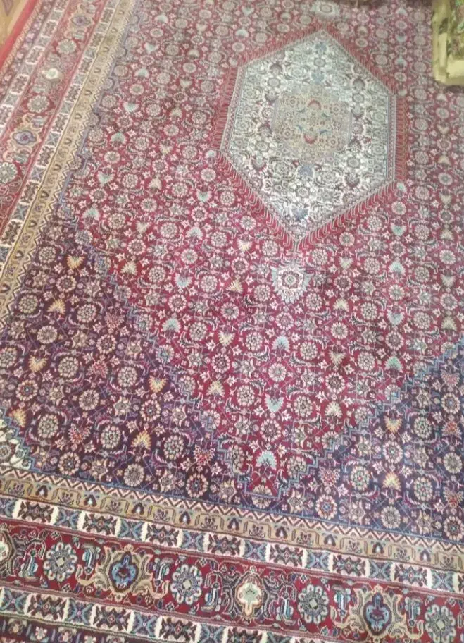 فرش شش متری|فرش|زاهدان, |دیوار