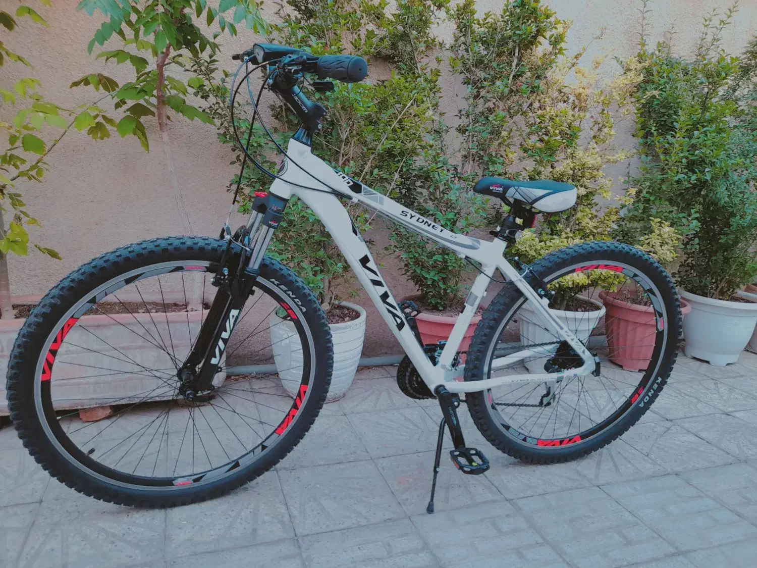 دوچرخه ویوا ۲۹ - در حد نو + باربند|دوچرخه، اسکیت، اسکوتر|فردیس, انبار نفت|دیوار