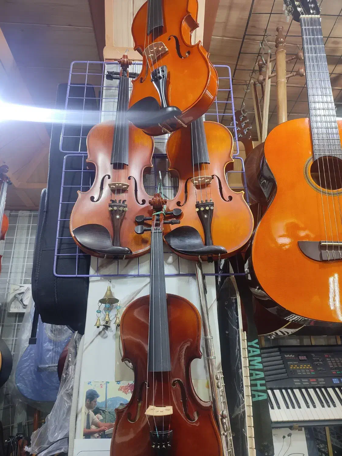 انواع ویلن حرفه ای و آموزشی قیمت مناسب|ویولن|اردبیل, |دیوار