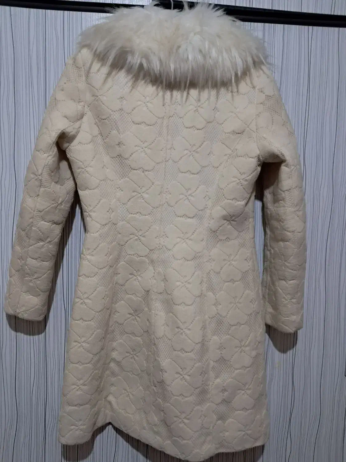 پالتو خزدار نو|لباس|تبریز, |دیوار