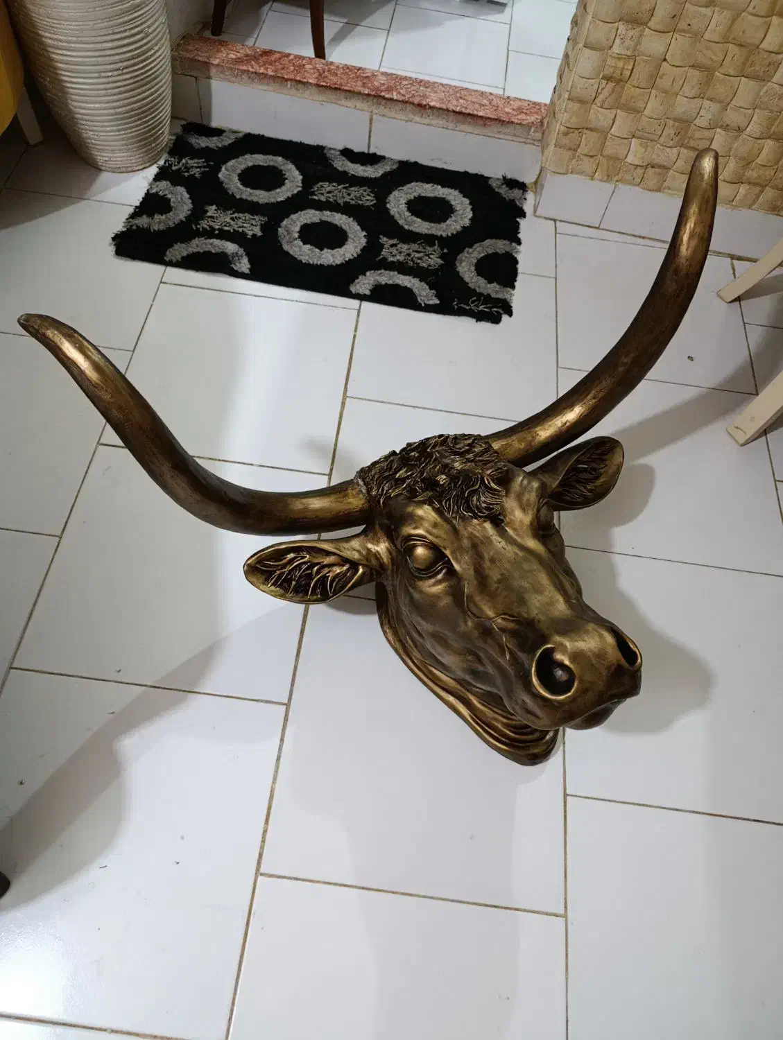 سردیس گاو دیواری|مجسمه، تندیس، ماکت|ساری, |دیوار