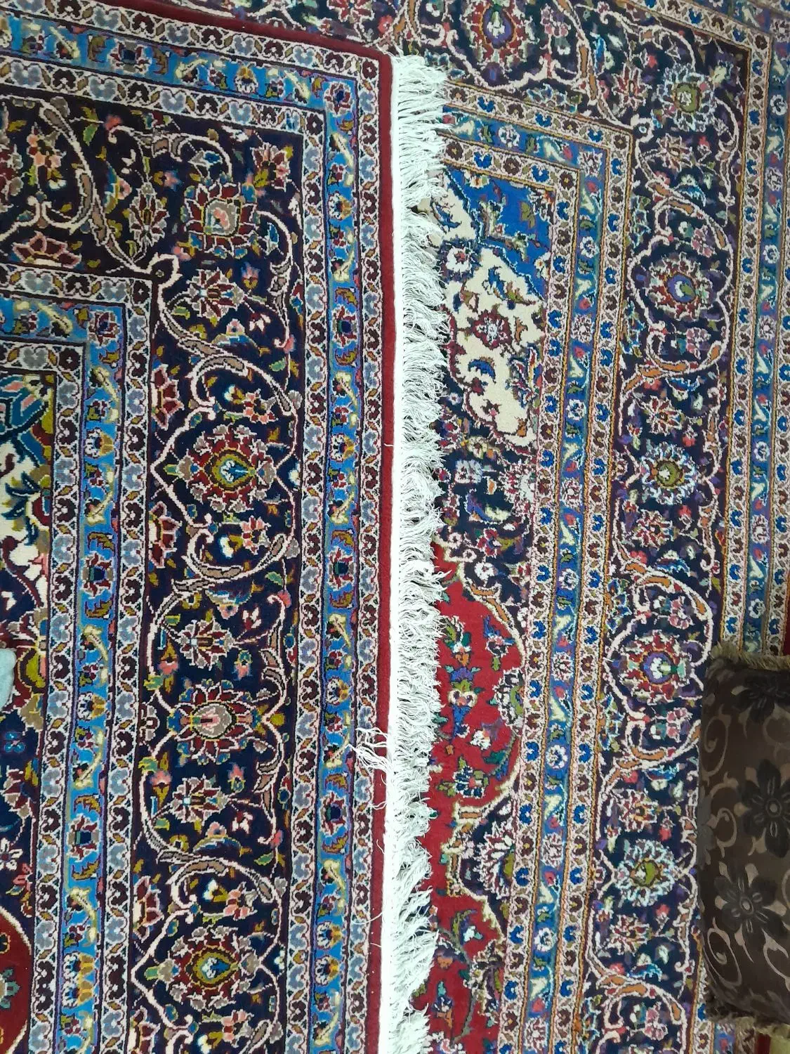 فرش ۱۲ متری|فرش|شیراز, سرو|دیوار