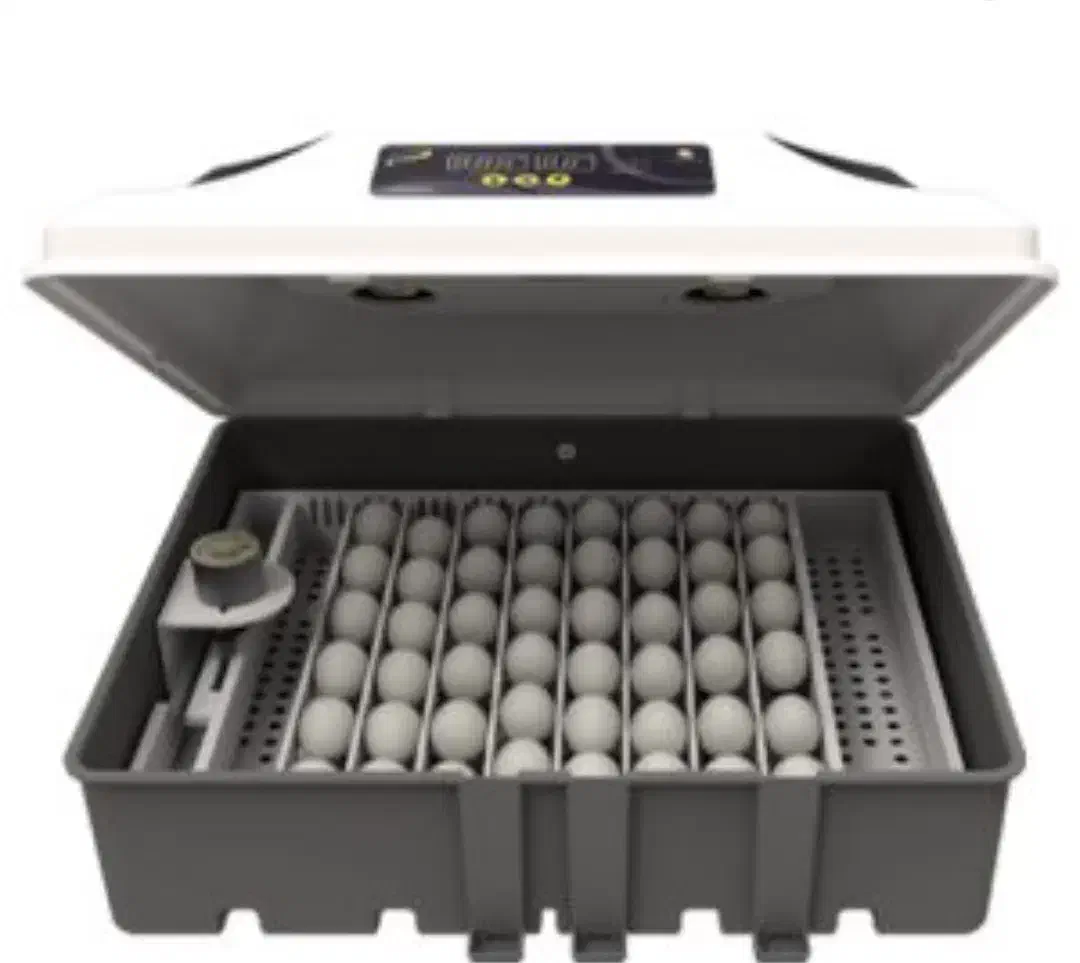 دستگاه جوجه کشی|لوازم جانبی حیوانات|اشتهارد, |دیوار